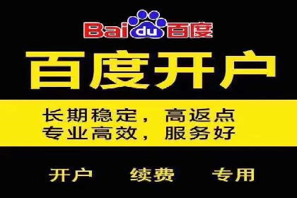 实战派经验分享：百度竞价代理成功案例揭秘